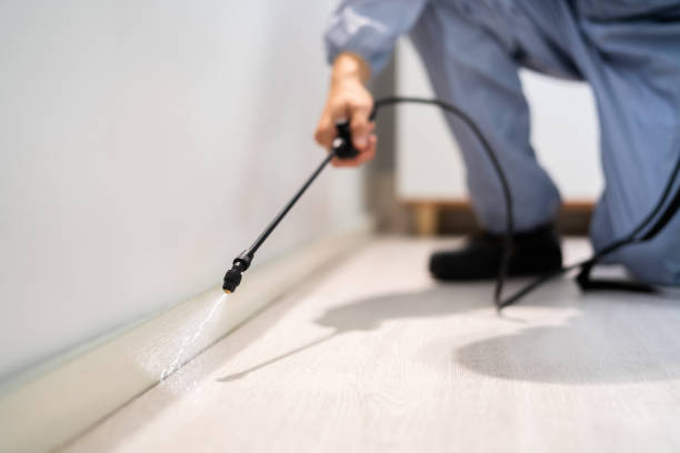 Licensed Wasp Control service in Goodlettsville, TN - Nex Pest Control