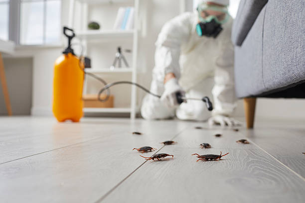 Trusted Termite Control service in Goodlettsville, TN - Nex Pest Control
